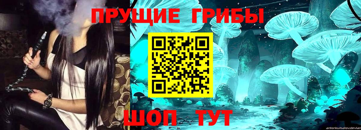 дарнет шоп  Вход с VPN  Псилоцибиновые грибы мицелий  Богородицк  Галлюциногенные грибы мухоморы 